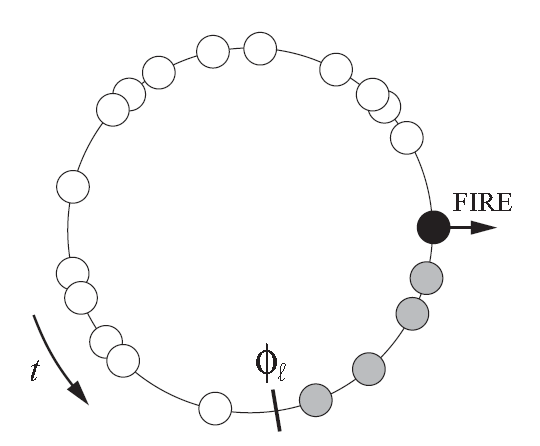 More than two oscillators Μορε διφφιχυλτ το αναλψζε. Προοφ ιν [1]. Πηασε πορτραιτ υσεφυλ τοολ φορ ϖισυαλιζατιον Φιρστ σµαλλ χλυστερσ σψνχηρονιζε (γ ρεψ ποιντσ).