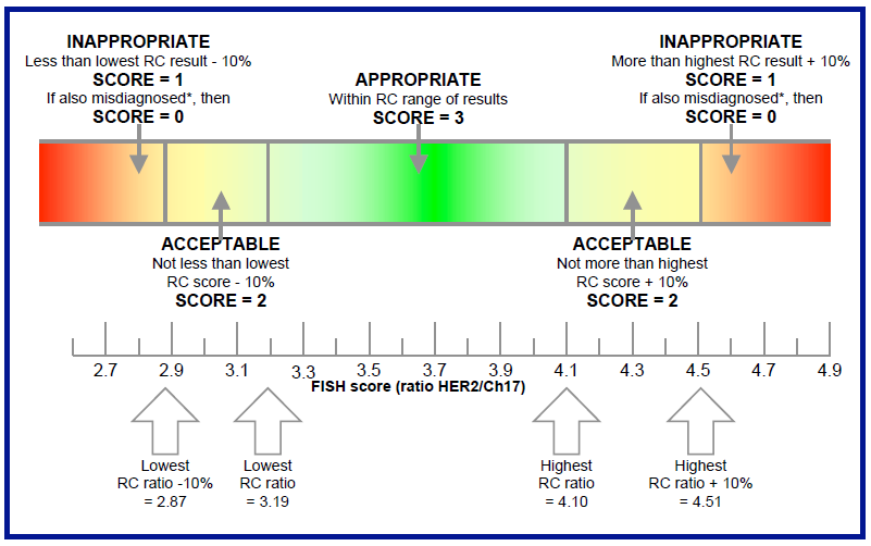 The HER2 ISH Module - Interpretive Run 25 How the scoring system works Schematic representation of the scoring system; the example illustrated uses the Reference Centre set of HER2/Ch17 ratios