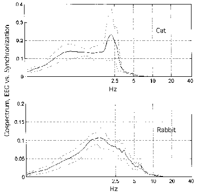 Global episodic beta/gamma synchrony 16 Freeman & Rogers Φιγυρε 10. Τηε χροσσχορρελατιον ωασ χομπυτεδ βετωεεν τ Θ(τ) ανδ τηε σπατιαλ ενσεμβλε αϖεραγε οφ ΕΕΓ σιμυλτανεουσλψ φρομ αλλ αρεασ.