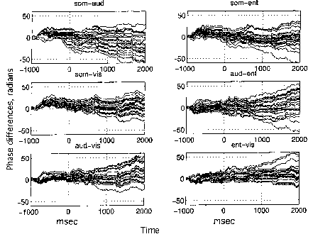 Global episodic beta/gamma synchrony 8 Freeman & Rogers 3.1. Animal studies 3.