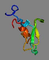 Ρυθμιστές της αιμόστασης και ο ρόλος τους στη φλεβική και αρτηριακή θρόμβωση TFPI b- tissue factor pathway inhibitor b Ο κύριος ρυθμιστής του