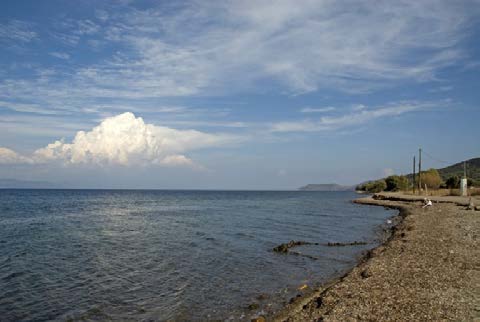 Για το είδος του τοπίου της διαδρομής μπορούμε να αναφέρουμε ότι συναντάμε : Παραθαλάσσιο με φρυγανική βλάστηση και κτηνοτροφικές δραστηριότητες, αραιό δρυοδάσος, θέα στα Μικρασιατικά Παράλια.