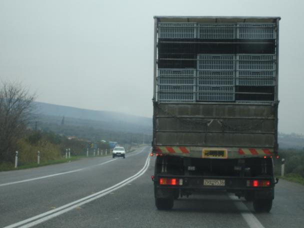 Εικόνα 49: Διπλή γραμμή, απαγορεύεται η προσπέραση. Εικόνα 50: Κοιτάμε εμπρός πέρα από το φορτηγό. Προσπερνάμε γρήγορα, χωρίς να βγούμε στο αντίθετο ρεύμα κυκλοφορίας.