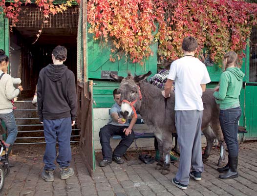 1. Hackney City Farm. 2. London Fields Park. 3. London Fields Brewery. 4. Regent s Canal. 5. Viajante Restaurant. 1 4 2 3 1 5 cafés.