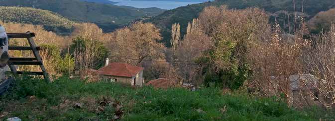 ΔΡΑΣΤΗΡΙΟΤΗΤΕΣ ΤΡΙΗΜΕΡΗ ΕΚΔΡΟΜΗ Β ΛΥΚΕΙΟΥ ΠΟΡΤΑΡΙΑ ΜΑΚΡΙΝΙΤΣΑ ΒΟΛΟΣ ΠΗΛΙΟ Η τριήμερη αυτή εκδρομή έλαβε χώρα το διάστημα 06.02 08.02.2015 και μας ταξίδεψε στα πιο όμορφα μέρη της Μαγνησίας.