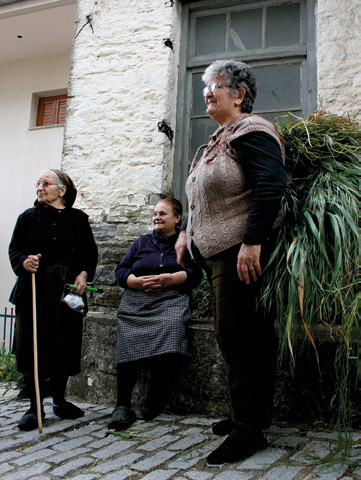 ταν σχεδόν ανύπαρκτα. Σκηπς σημαίνει στους κήπους οπού πιθανότα οδηγούσε το ομώνυμο ρέμα.