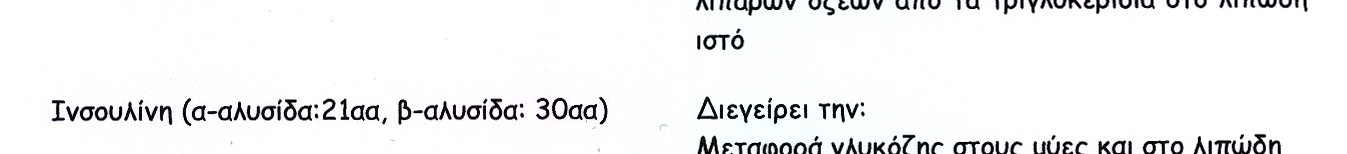 Παράγεται από τα β-κύτταρα του παγκρέατος