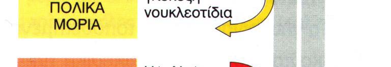 διαβιβαστές ή