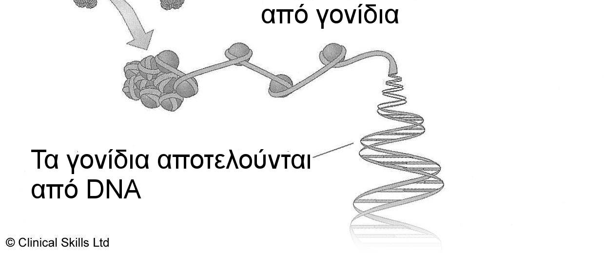 Αυτή η πληροφορία µπορεί να είναι χρήσι και για την διάγνωση άλλων µελών της οικογένειας.