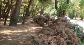 Τεύχος Ιουλίου - Σεπτεμβρίου 2013 εργασίες Πολιτικής Προστασίας Με