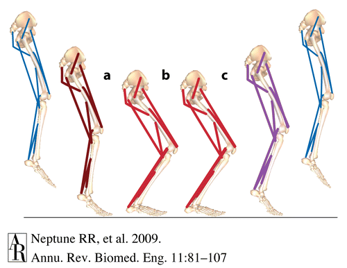 Κύκλος