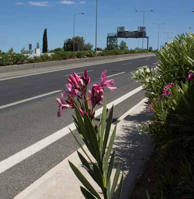 περιοχής Υμηττού και των αποκατεστημένων - δενδροφυτεμένων σηράγγων. Διανύοντας την Αττική Οδό συναντά κανείς διάφορες συνθέσεις πρασίνου, από ένα πλήθος διάφορων φυτών και δένδρων, πάνω από 300 είδη.