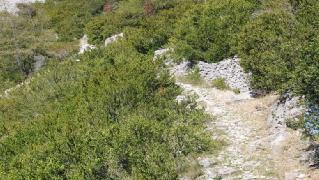 Κατά μήκος του υπάρχουν πολλές ξερολιθιές που δίνουν ιδιαίτερη αισθητική αξία στη διαδρομή.