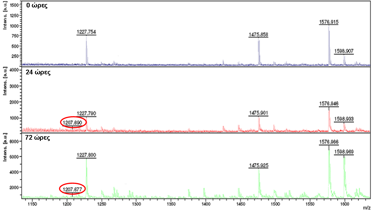 8 Εικόνα 4. Πεπτιδικά φάσματα των κατακρημνισμένων με ακετόνη ορών των ποντικών που μολύνθηκαν με Klebsiella oxytoca (δείγματα 0, 24, και 72 ωρών μετά τη λοίμωξη).