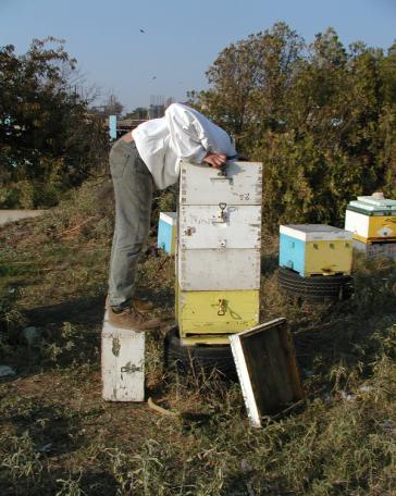 ζυγαριές.