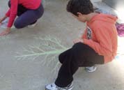 Με αφετηρία μια χαρουπιά, οι μικροί δημιουργοί άφησαν την πράσινη σφραγίδα τους στο χαρτί αλλά και στην αυλή μας ζωγραφίζοντας με κιμωλίες εδάφους! Επόμενο ραντεβού στις 13/11/10.