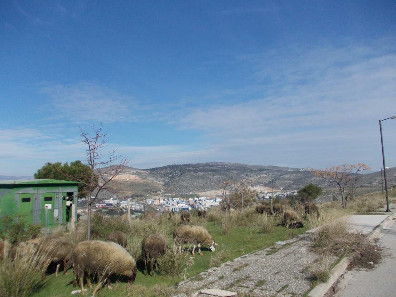 Τα υλικά κατασκευής των οικιών και οι τρόποι κατασκευής ποικίλλουν θέτοντας υπό αµφισβήτηση την στατική τους επάρκεια.