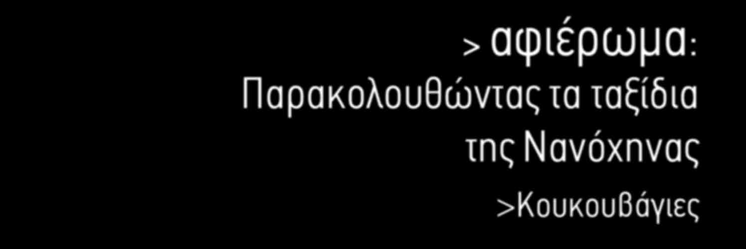 Παρακολουθώντας τα ταξίδια της Νανόχηνας >Κουκουβάγιες Ε λ λ η ν ι κ ή Ο