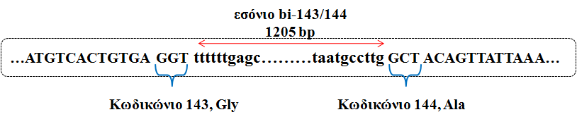 Ζ ζεκεηαθή κεηάιιαμε ηεο γνπαλίλεο (G) ζε θηηνζίλε (C) ζηε ζέζε 143, νδεγεί ζε επίπεδν ακηλνμέσλ, ζηελ αληηθαηάζηαζε ηεο γιπθίλεο (Gly) απφ ηελ αιαλίλε (Ala) ζην θσδηθψλην 143 (G143A κεηαιιαγή).