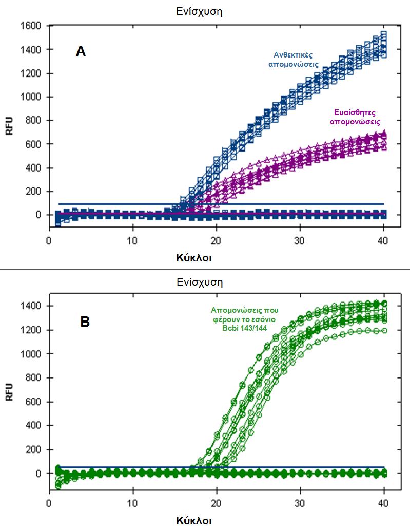 3.3.3. Μνξηαθή αλίρλεπζε ηεο G143A κεηαιιαγήο θαη ηνπ εζνλίνπ Bcbi 143/144 Όινη νη εθθηλεηέο θαη νη κνξηαθνί αληρλεπηέο TaqMan ππνβιήζεθαλ αξρηθά ζε βειηηζηνπνίεζε κε εθρχιηζκα DNA απφ δείγκαηα