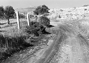 ΧΕΡΣΟΝΗΣΟΥ 623 Φωτ.