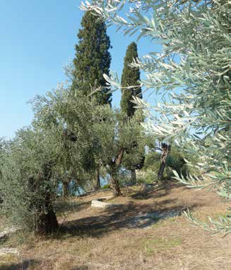 άννου του Προδρόμου, χαμηλά ίχνη της τοιχοποίας του καθολικού της οποίας σώζονταν μέχρι πριν από λίγα χρόνια 500 με 600 περίπου μέτρα σε ευθεία γραμμή δυτικά της παλιάς γατζεώτικης μονής μέσα στην