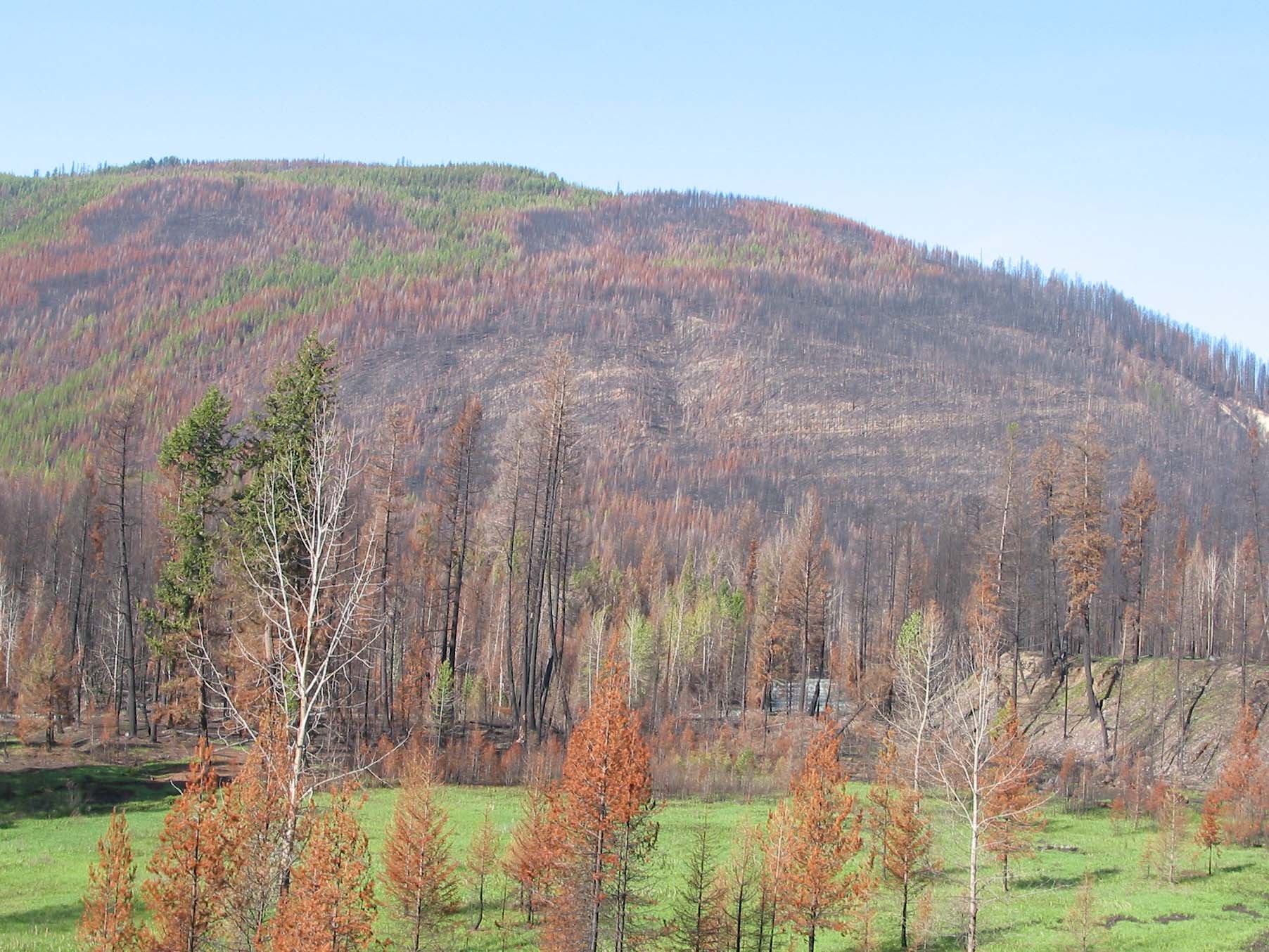 Post fire management depends on: Και, κατά συνέπεια, η παρακολούθηση