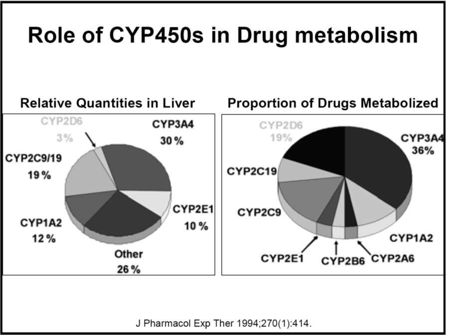 CYP2D6 3%