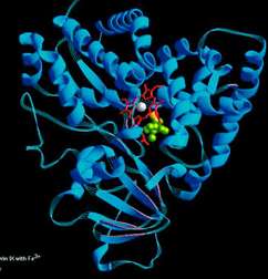 επαγόμενου φαρμάκου Αναςτολι (Inhibition) CYP450 C φαρμάκου υποςτρϊματοσ ςτο πλάςμα δραςτικότθτα, τοξικότθτα ςοβαρζσ ΑΕ