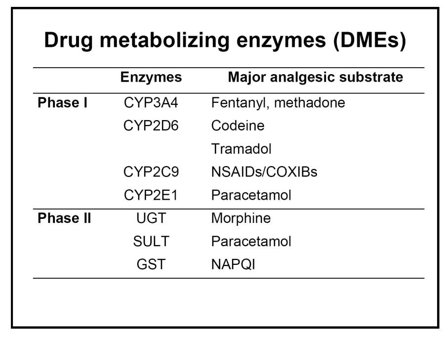 Oxymorphone Hydromorphone ύλδεζε κε γιπθνπξνλίδηα