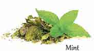 16 τ πρ ν Μάρτιος 2015 του βουνού, το φασκόμηλο, η μαστίχα, η λεβάντα, η μαντζουράνα, το θυμάρι, το δίκταμο, το μάραθο, η μέντα, ο βασιλικός, το χαμομήλι, το κύμινο κ.ά. Από τα φαρμακευτικά φυτά που καλλιεργούνται στην Ελλάδα, ο κρόκος, καταλαμβάνει την πρώτη θέση σε επίπεδο καλλιεργούμενης έκτασης.