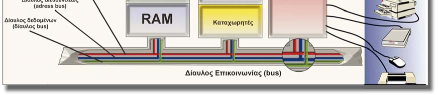 γ) Μελετάμε τη συμπεριφορά τους, τον τρόπο αλληλεπίδρασής τους και τη σχέση τους με τα παραγόμενα τελικά αποτελέσματα.