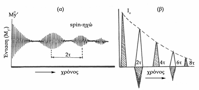 Σχήμα 8.18. Τεχνική spin-ηχώ (spin echo technique). (a) ένταση της μαγνήτισης Μ y των επαναλαμβανόμενων παλμών spin ηχώ κάθε 2τ s, (β) ένταση σήματος spin-ηχώ με μετασχηματισμό Fourier.