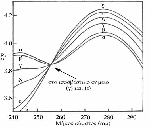 N N κινολίνη ισοκινολίνη λ max 226 nm λ max 218 nm λ max 270 nm λ max 216 nm λ max 300 nm λ max 305 nm λ max 330 nm λ max 318 nm Ινδόλες και παράγωγα: Η ινδόλη παρουσιάζει απορροφήσεις στα 260, 262