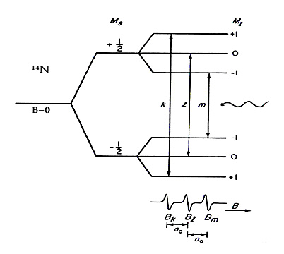 splitting constant)]. Ένα άλλο παράδειγμα είναι η σύζευξη με τον πυρήνα 14 Ν που έχει spin I = 1, μαγνητικούς κβαντικούς αριθμούς spin +1, 0, -1.