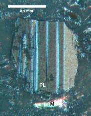 while that of the microporous >86% for nutritional uses the total content of the silica polymorphs (Quartz+Cristobalite+Tridymite+Opal)