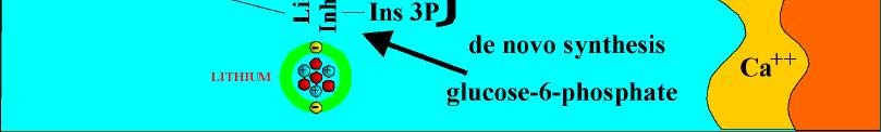 πρωτεΐνες Μεταβάλλει την παραγωγή IP3