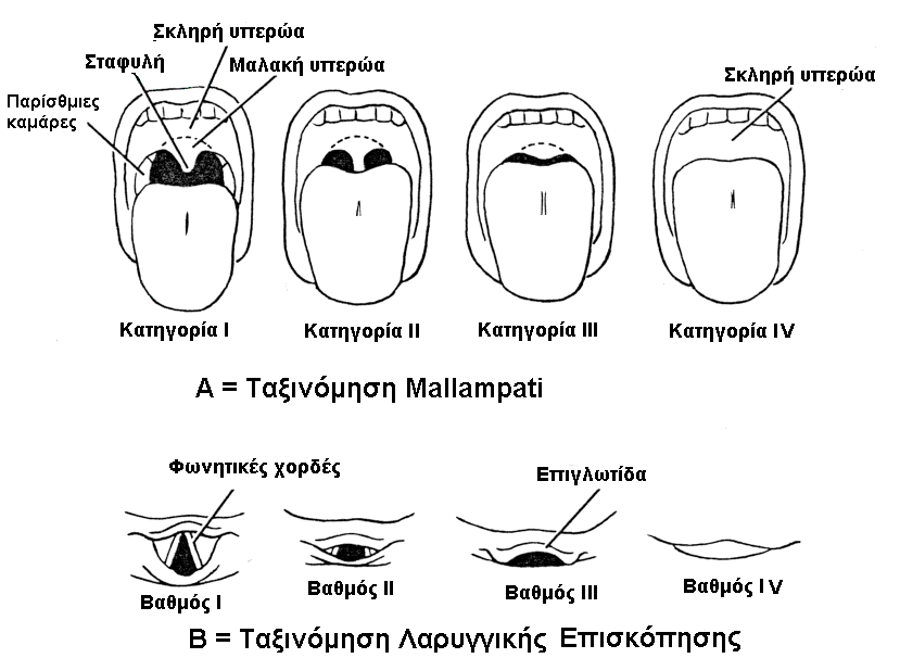 4 ν Θεθάιαην Δλδνηξαρεηαθή Γηαζσιήλσζε: Φάξκαθα & Ρερληθέο Θαηεγνξία ΗΗΗ: θαίλεηαη κφλνλ ε βάζε ηεο ζηαθπιήο. Θαηεγνξία ΗV: δελ θαίλεηαη ηίπνηα, oχηε αθφκε θαη ε βάζε ηεο ζηαθπιήο.