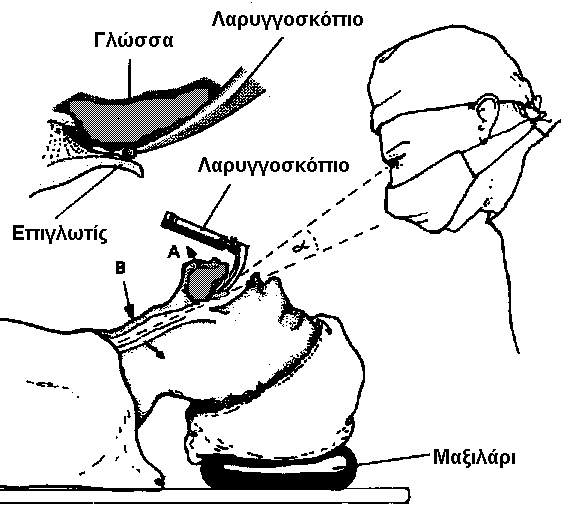 ηνπ αλαπλεπζηηθνχ θπθιψκαηνο ή ηεο ζπζθεπήο Ambu.