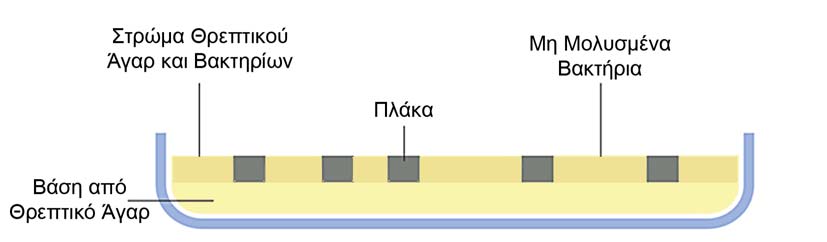 Κεφάλαιο 2 