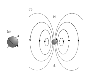 χώρο με αποτέλεσμα το σύνολο των σπιν ενός συνόλου τέτοιων πυρήνων να είναι μηδέν με επακόλουθο να μην παράγουν σήμα NMR.