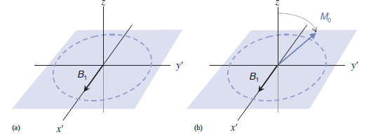 Εικόνα 1.14: (a)to στατικό μαγνητικό πεδίο Β 1 στο περιστρεφόμενο σύστημα κατά μήκος του άξονα x.