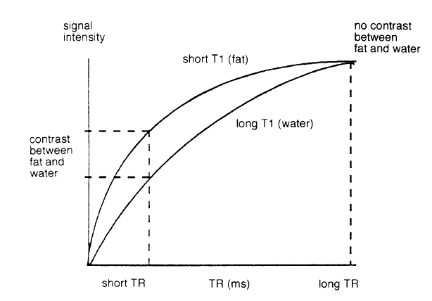 φαινόμενα. Με αυτό τον τρόπο ενισχύουμε τις Τ 1 διαφορές μεταξύ των ιστών (Εικόνα 3.3). Οι εικόνες T 1 weighted, συνήθως έχουν τέλεια αντίθεση.