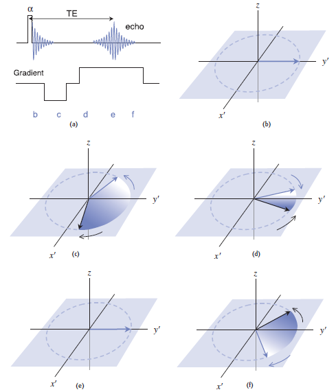 Εικόνα 4.1: Σχηματική ακολουθία της gradient echo (GE). 4.3 SE Ακολουθία Στην spin echo ακολουθία (S SE ) (Εικόνα 4.