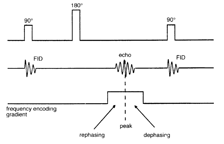 Η echo συχνά κεντράρεται στο μέσον του gradient της κωδικοποίησης συχνότητας, έτσι ώστε το gradient να ενεργοποιείται κατά τη διάρκεια του επανασυγχρονισμού φάσης και της απώλειας φάσης της echo