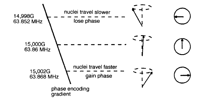 μεταπτωτικού μονοπατιού. Οι πυρήνες που έχουν επιταχυνθεί εξαιτίας της παρουσίας του gradient κινούνται πιο μπροστά γύρω από το μεταπτωτικό τους μονοπάτι απ ότι αν δεν είχε εφαρμοστεί το gradient.