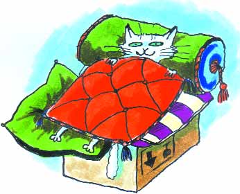 Πώς να φροντίζετε τη γάτα σας Πού ζει η γάτα σας Η γάτα που ζει έξω από το σπίτι χρειάζεται κατάλληλο χώρο για να προστατεύεται από το κρύο ή τη ζέστη.