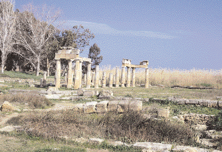 O ναός της Aρτέμιδας στη Bραυρώνα. Περιβάλλεται από υγρότοπο, ο οποίος διασώθηκε χάρη στον προστατευόμενο και σε αρμονική συνύπαρξη με τη φύση αρχαιολογικό χώρο.