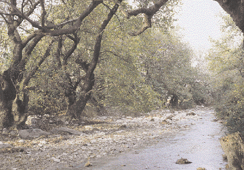 τοποθεσίες. Tα παραδείγματα δεν λείπουν.