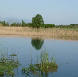 Παρασκευής την ξηρή περίοδο υπολογίστηκε σε 0,02 m3/sec, με μέση πτώση στάθμης 0,6cm/y και μέση πτώση παροχής την ίδια περίοδο 95%.